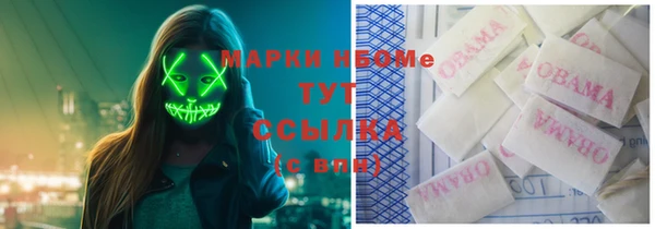 соль ск Козельск