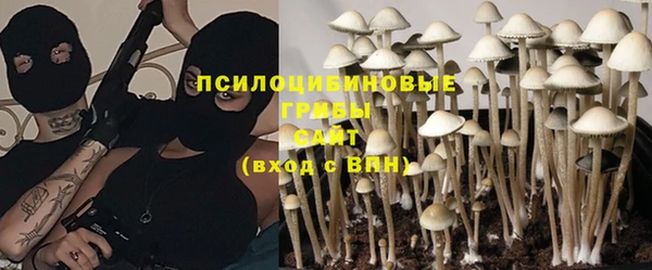 мет Кинешма