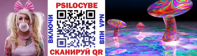 Галлюциногенные грибы Cubensis  закладка  Белоозёрский 