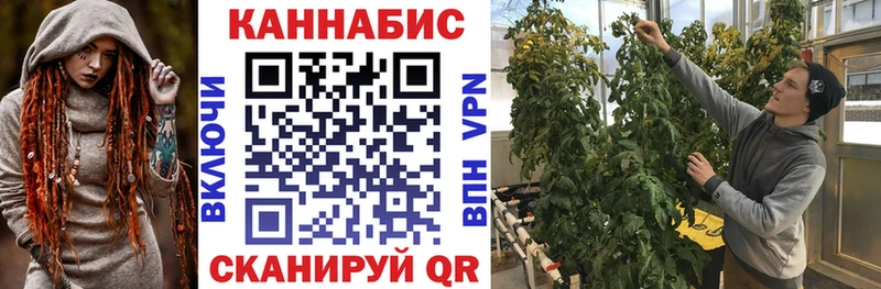 Каннабис индика  Белоозёрский 